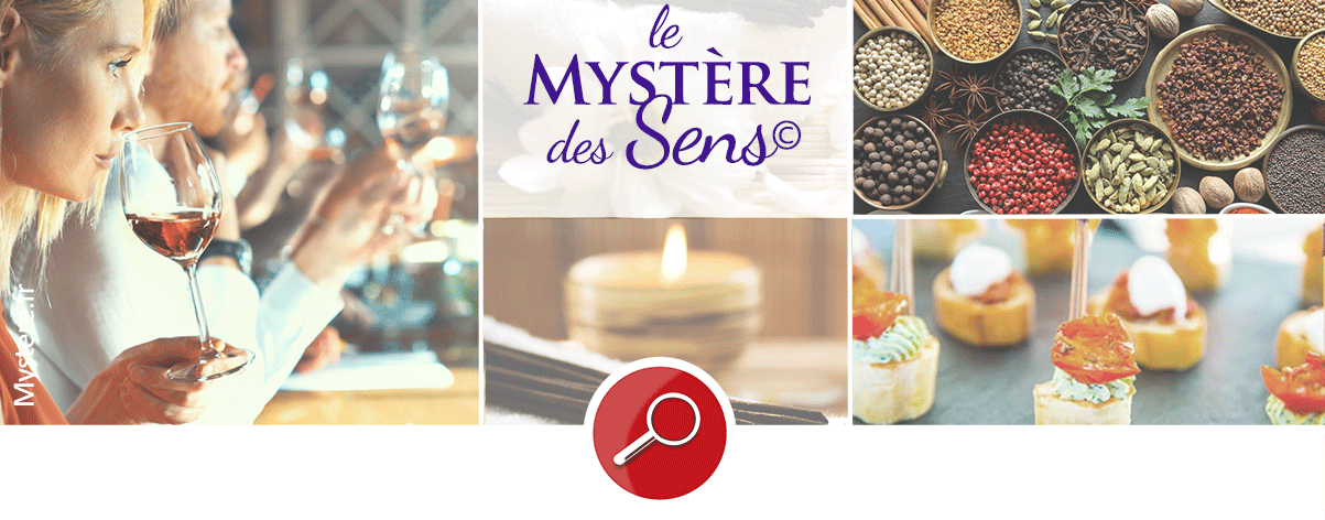 Vignette-le-Mystère-des-Sens