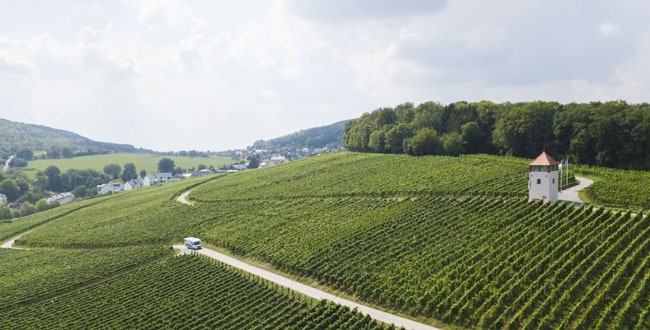 Le vignoble de Koeppchen